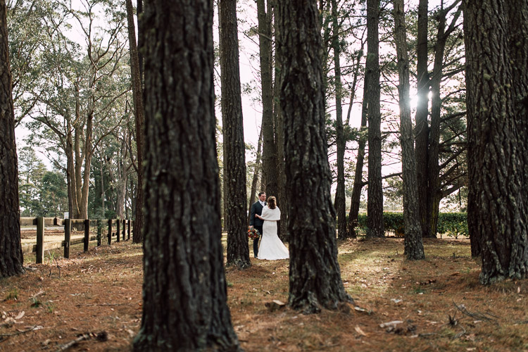 Southern_highlands_Wedding_photographer_Rose_photos_135.jpg