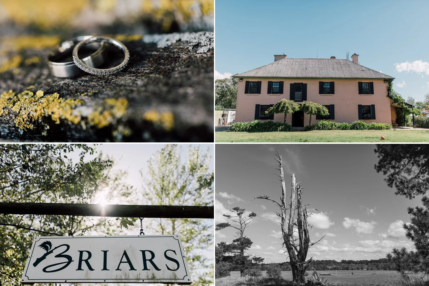 Briars_Bowral_Wedding _Photographer_099.jpg