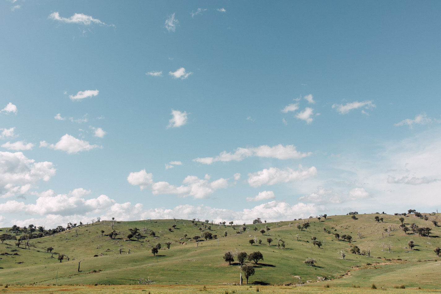 Central_West_NSW_Wedding_Photographer_002.jpg