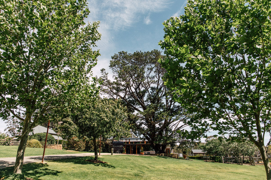 Mali_Brae_Farm_Southern_Highlands_wedding_photographer_011.jpg