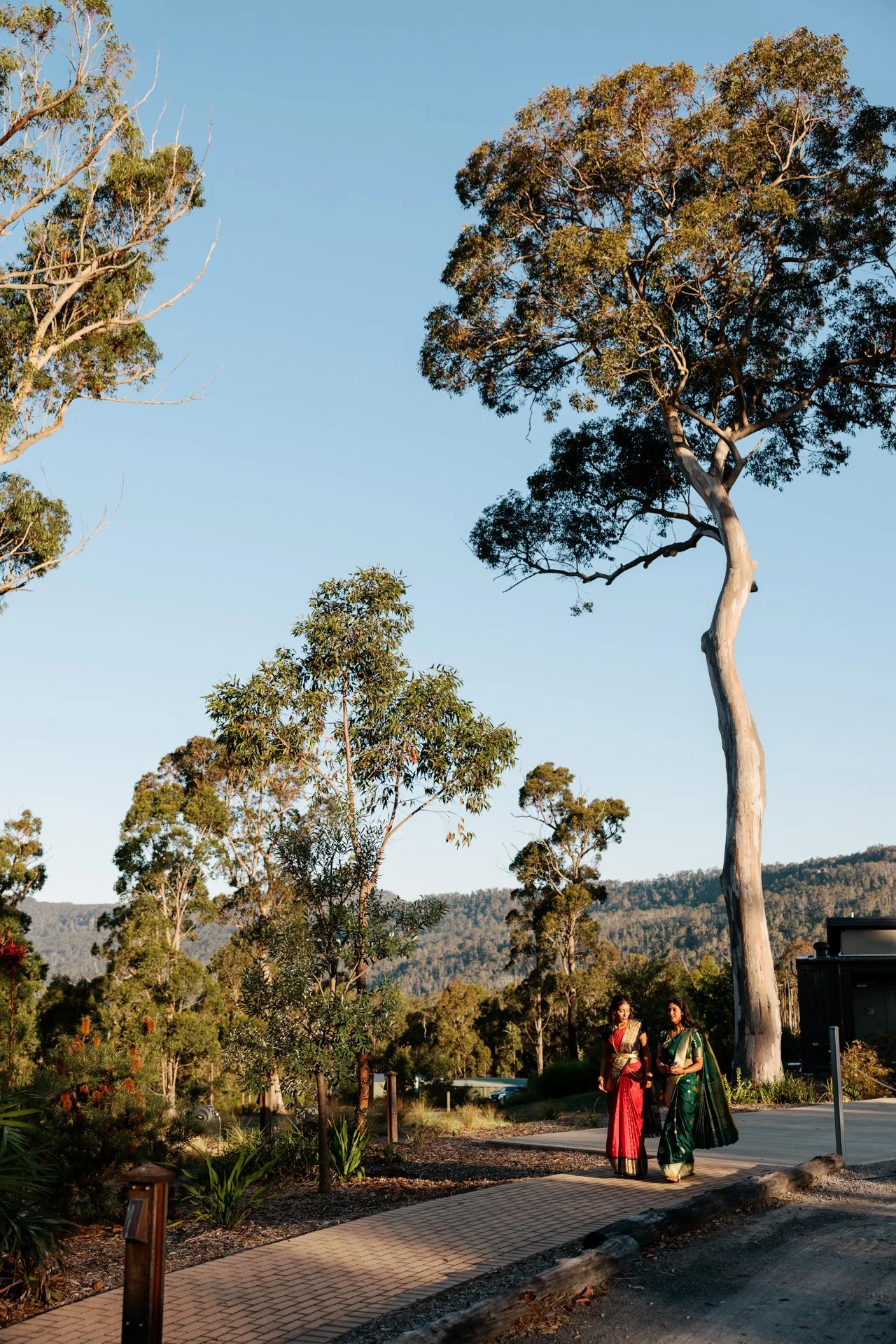 kangaroo-valley-bush-retreat-wedding-025.jpg