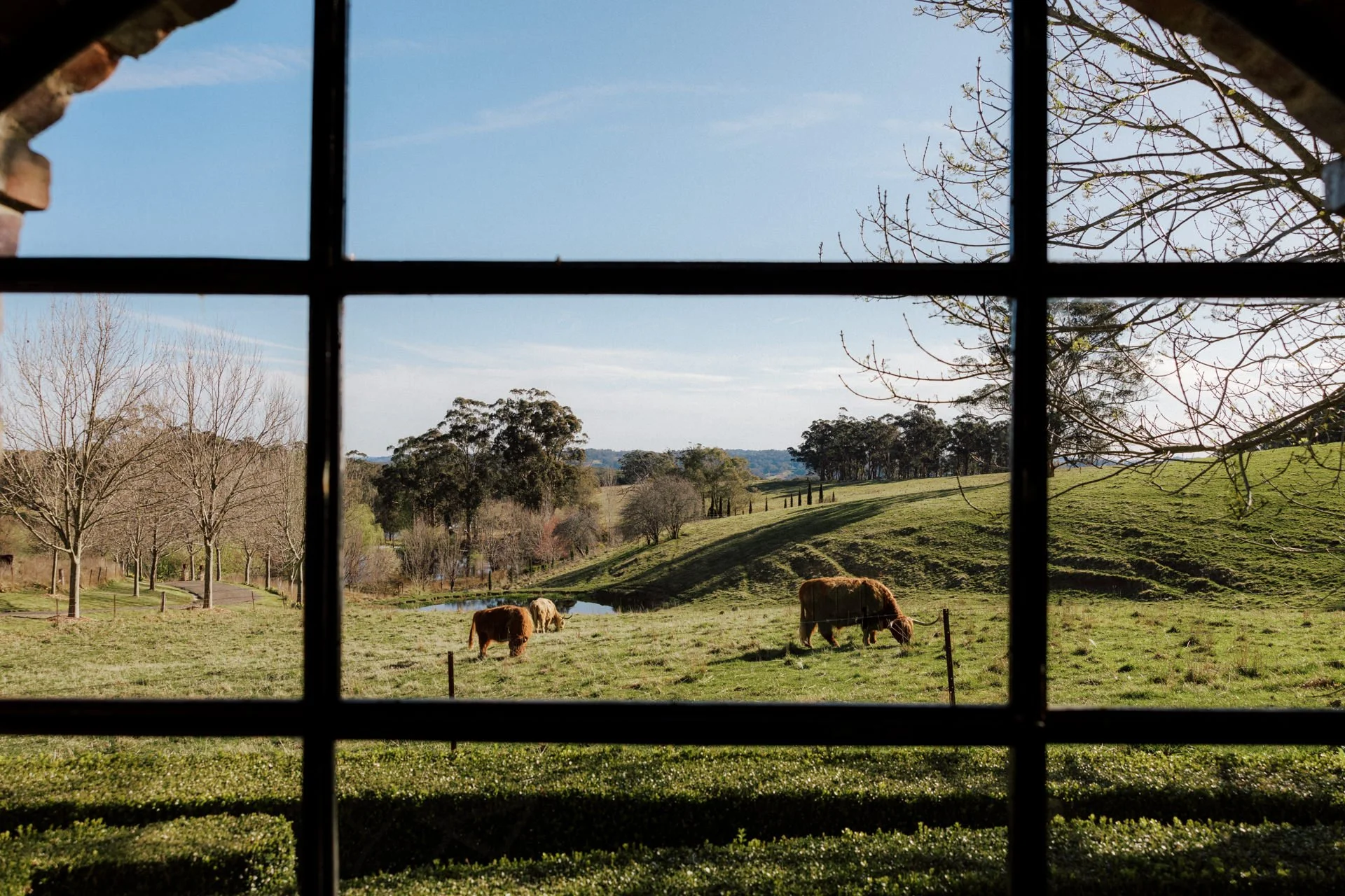 mali-brae-farm-bowral-wedding-photos-069.jpg