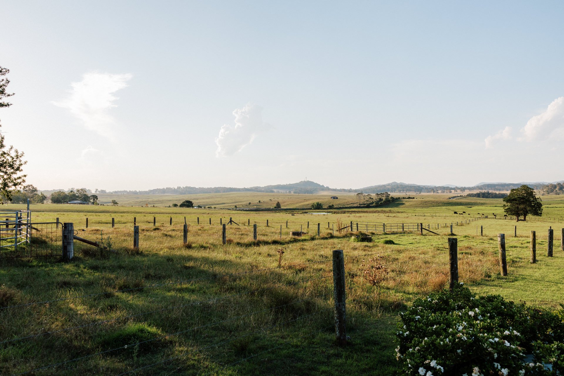country-nsw-wedding-photos-161.jpg