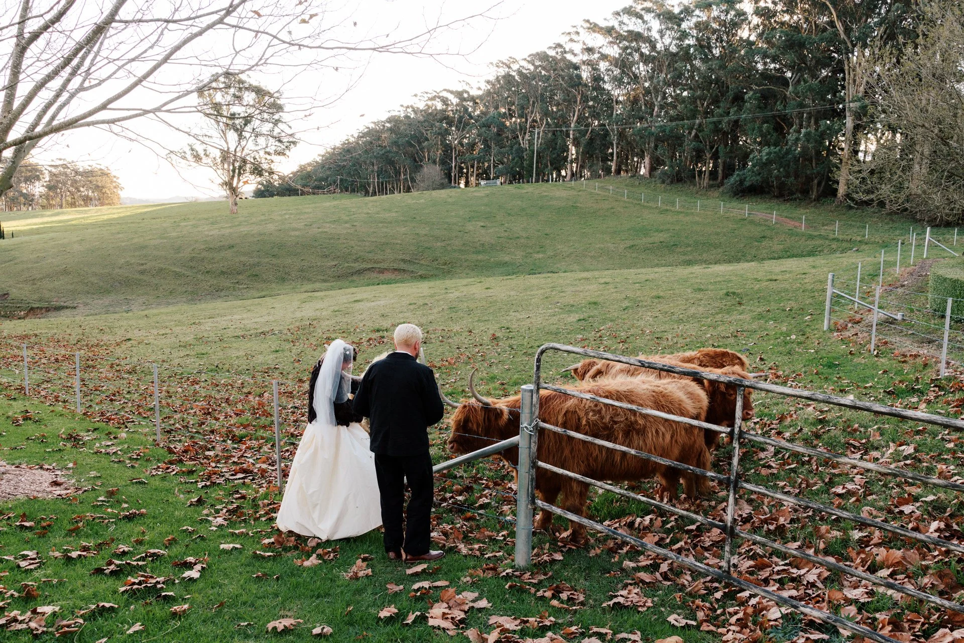 Mali-brae-farm-winter-wedding-photos-095.jpg