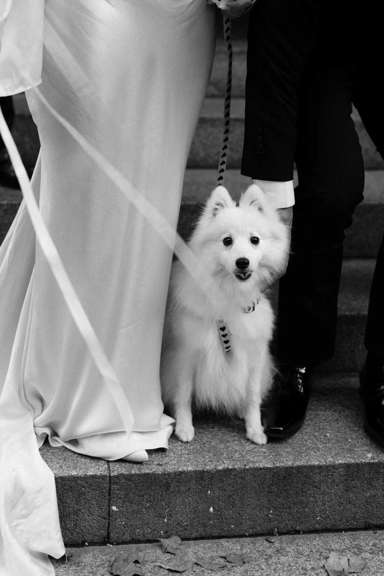sydney-city-bar-party-wedding-032.jpg
