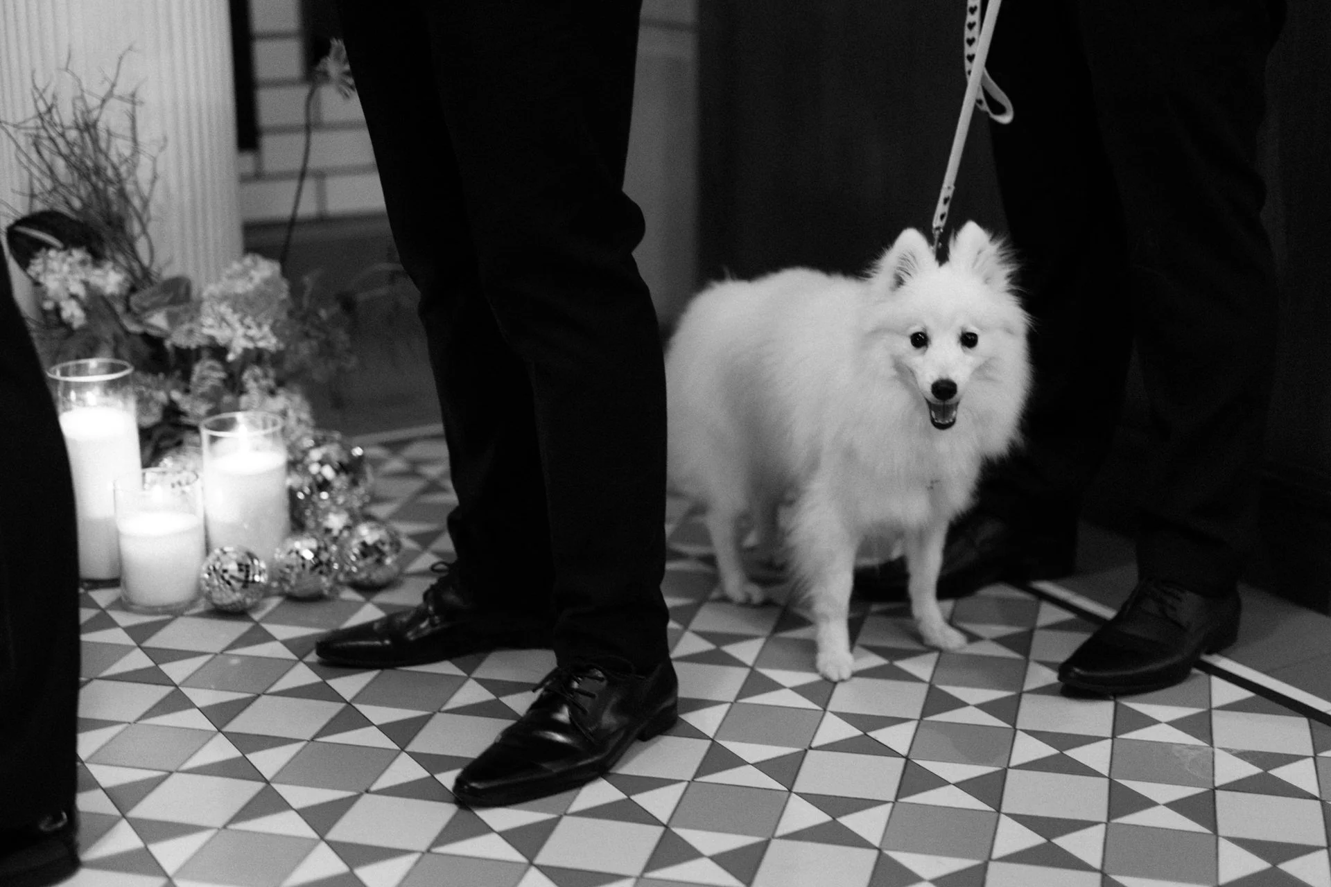 sydney-city-bar-party-wedding-063.jpg