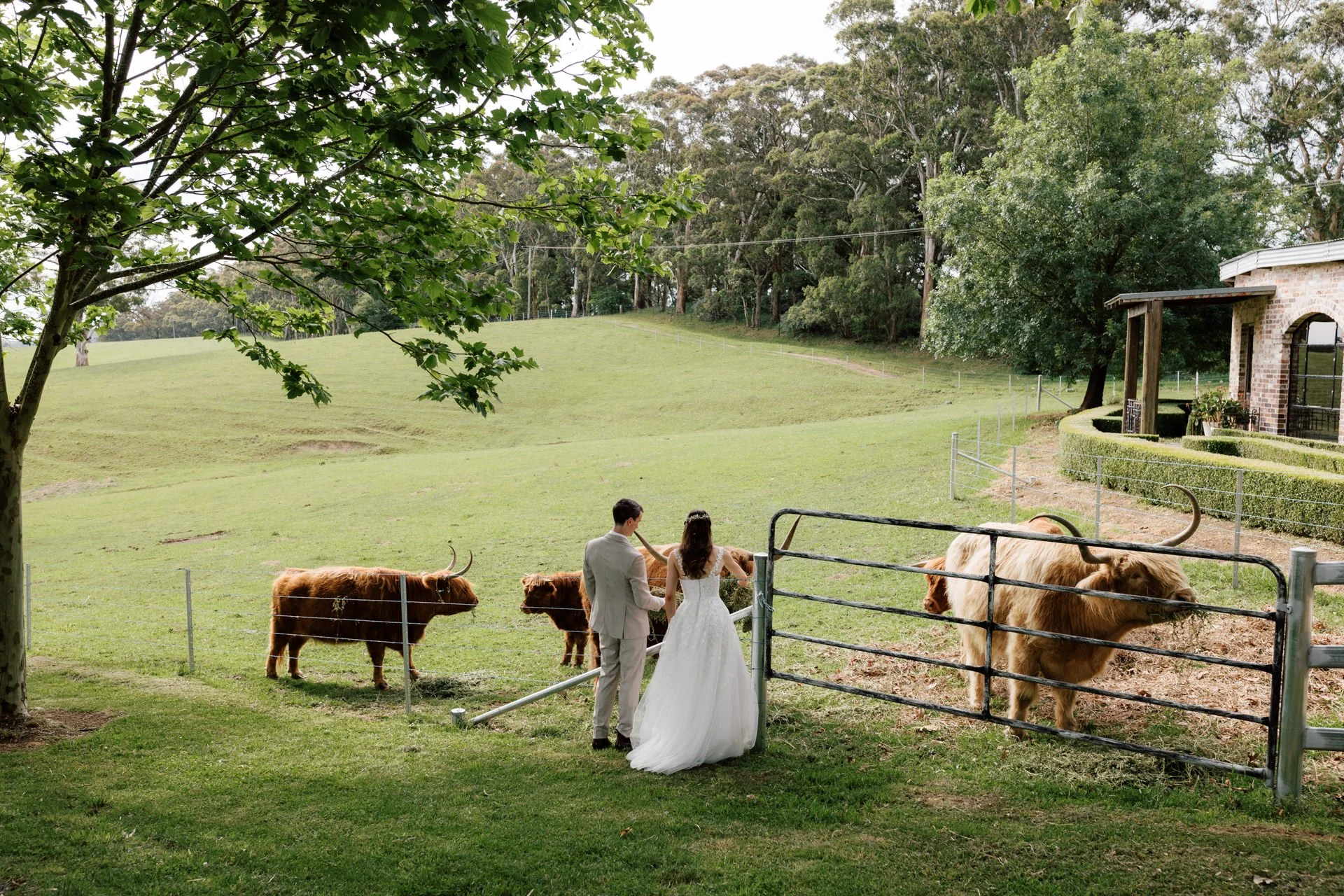 mali-brae-farm-wedding-078.jpg