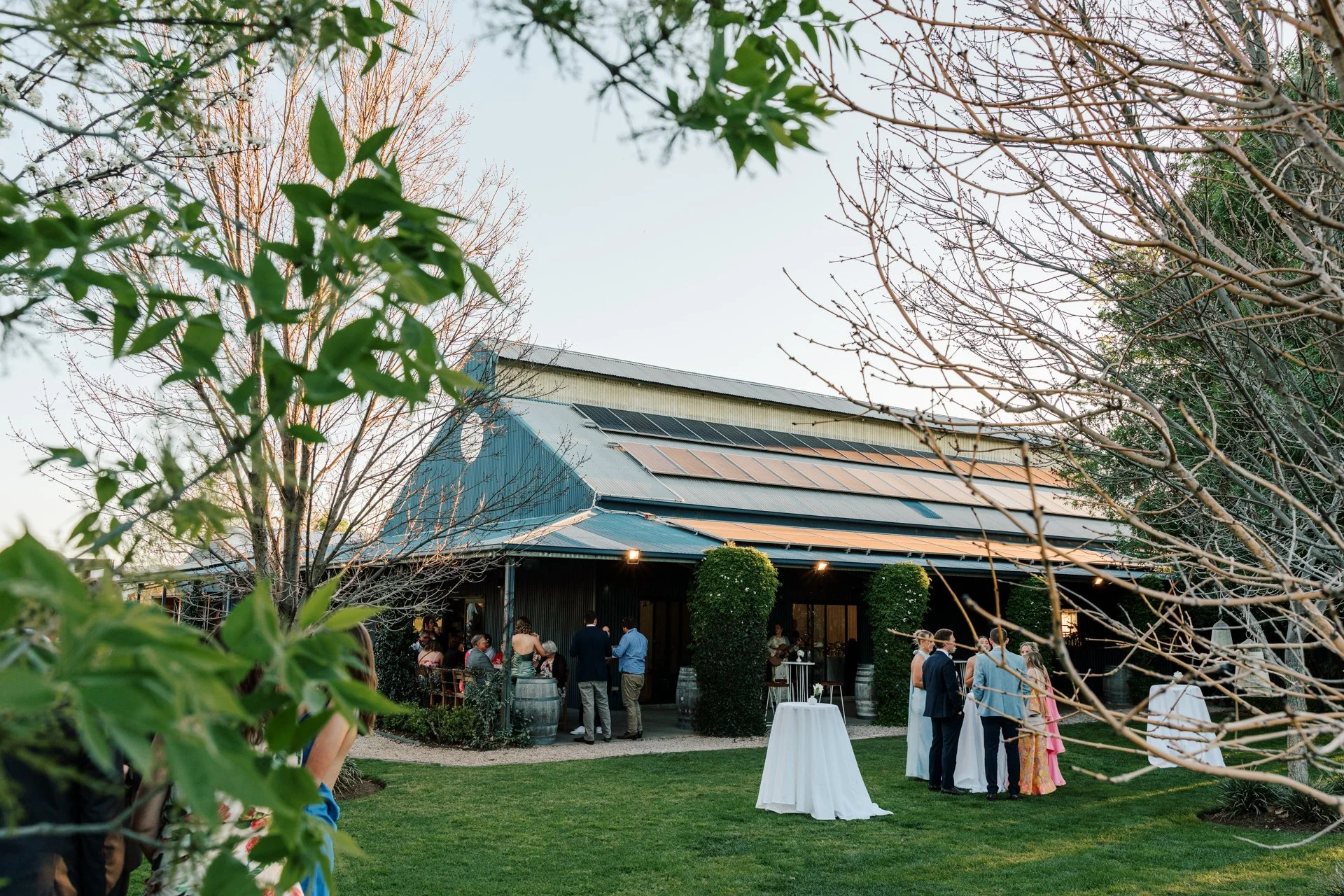 mudgee-wedding-photos-blue-wren-120.jpg