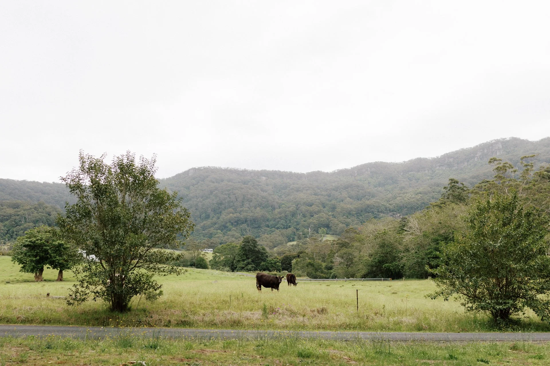 the-lodge-Jamberoo-wedding-photos-003.jpg