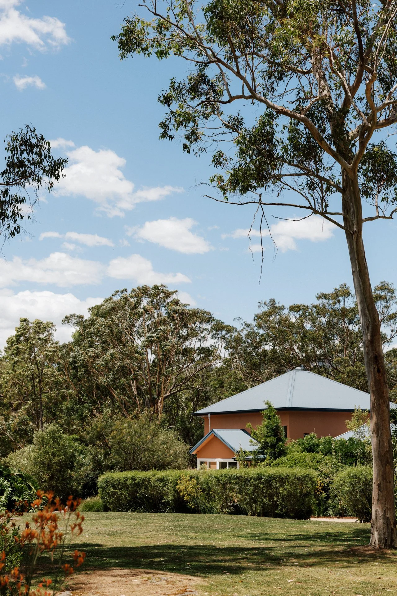 wildwood-kangaroo-valley-wedding-001.jpg
