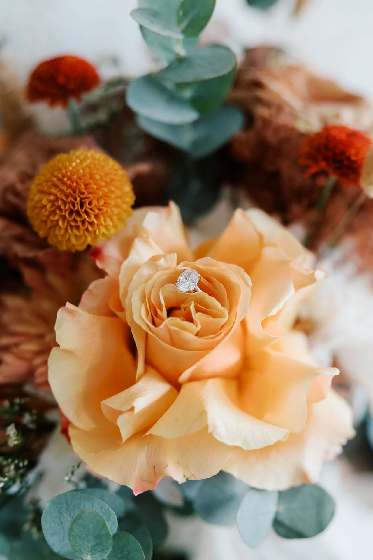 adams-peak-country-estate-wedding-photos-008.jpg