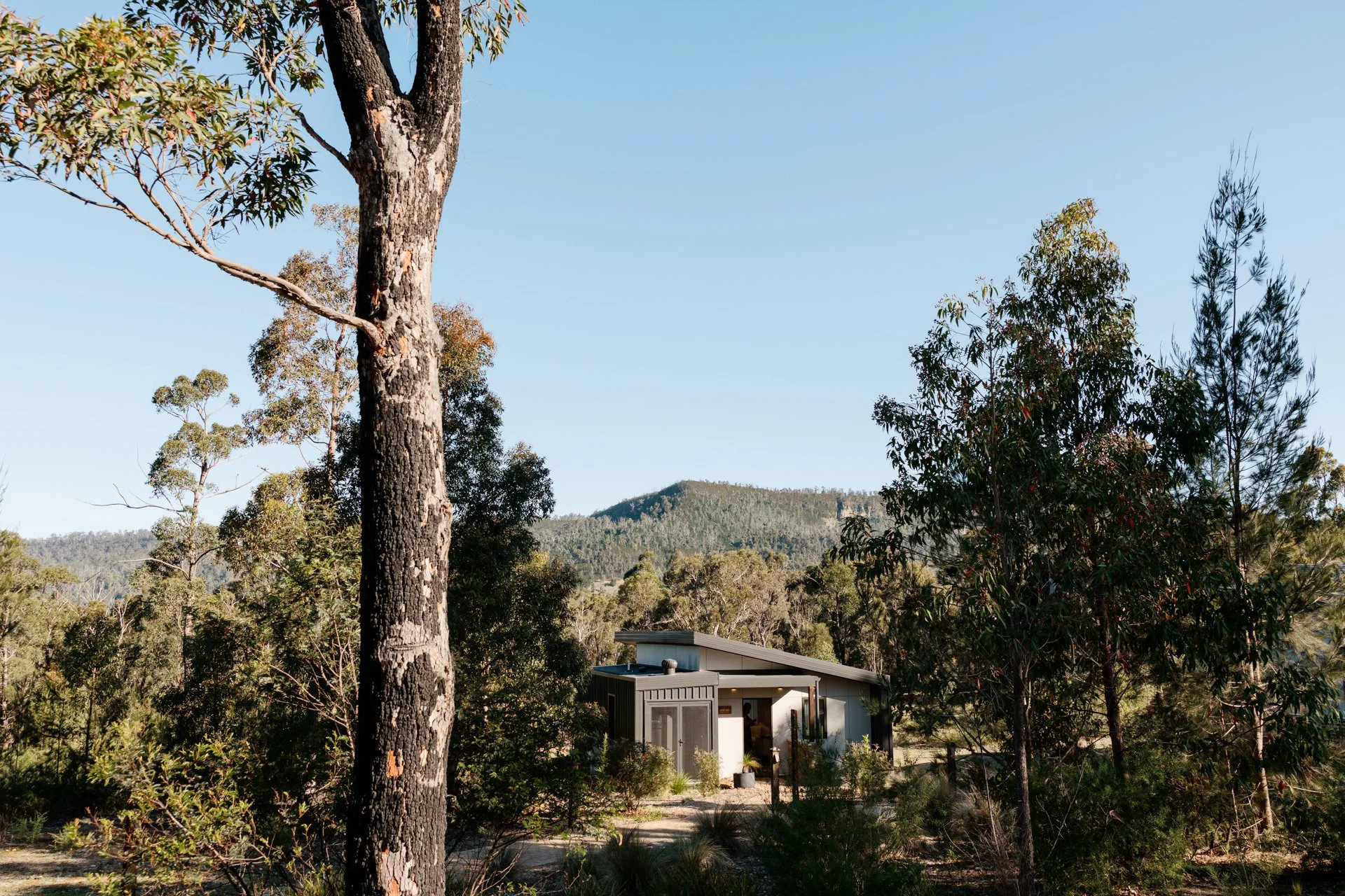 kangaroo-valley-bush-retreat-wedding-010.jpg