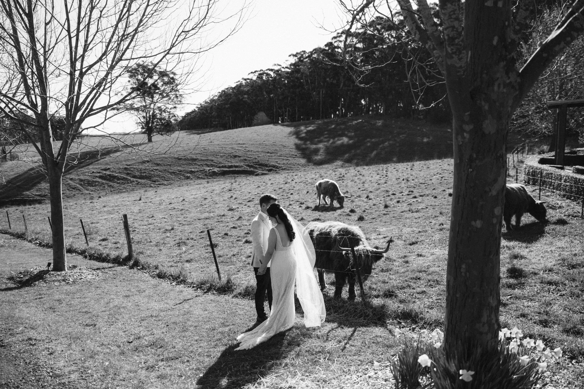 mali-brae-farm-bowral-wedding-photos-057.jpg