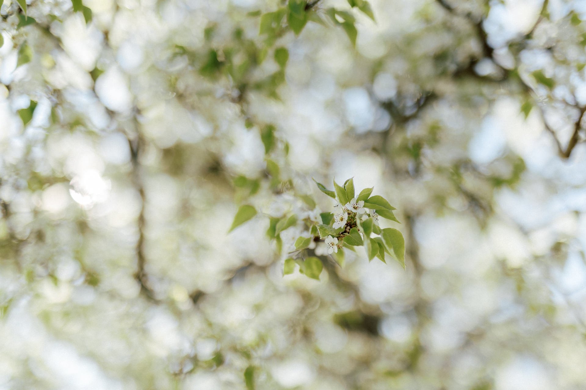 mali-brae-farm-bowral-wedding-photos-065.jpg