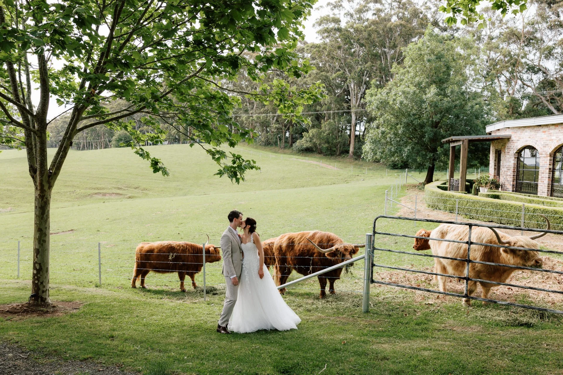 mali-brae-farm-wedding-081.jpg