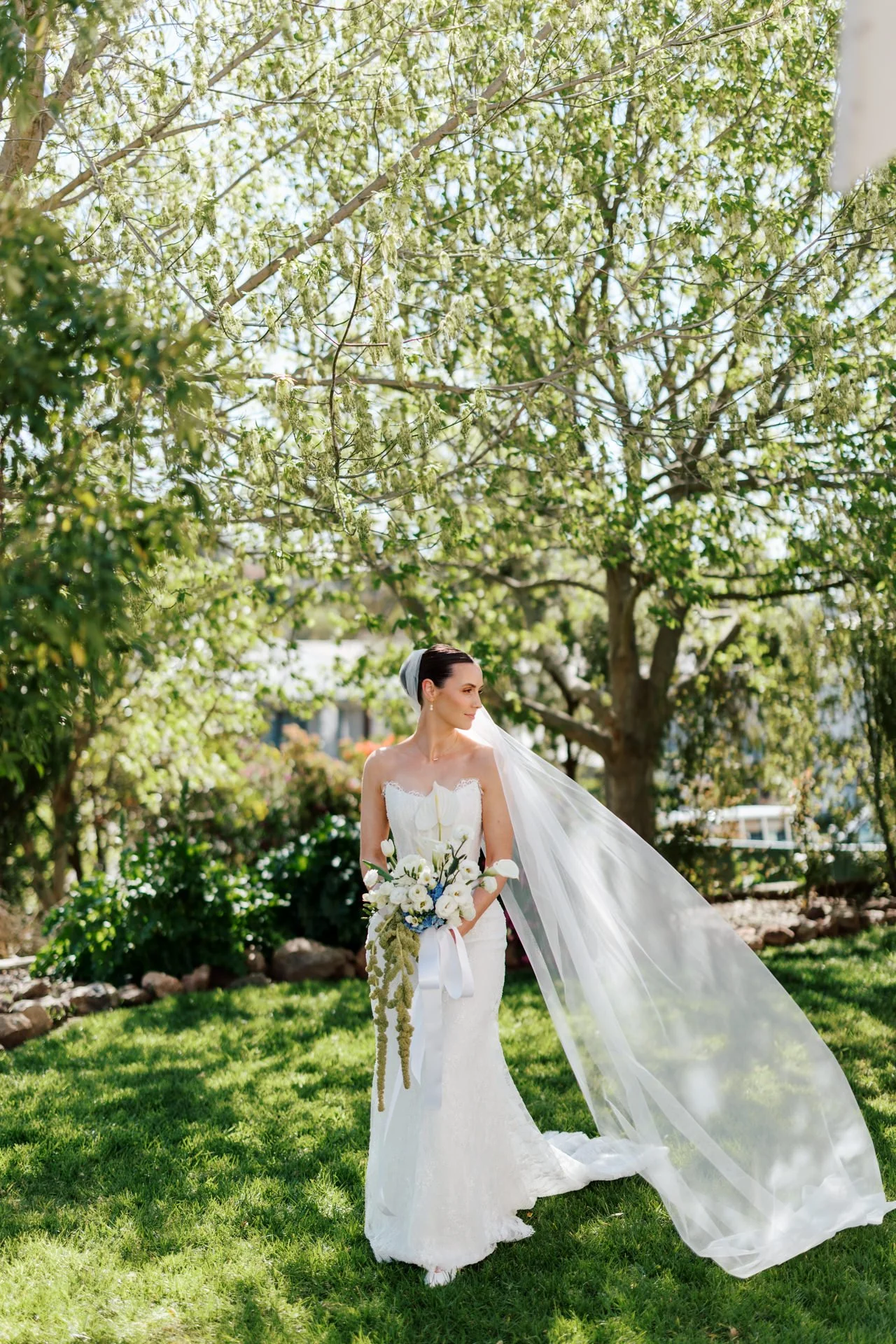 mudgee-wedding-photos-blue-wren-034.jpg