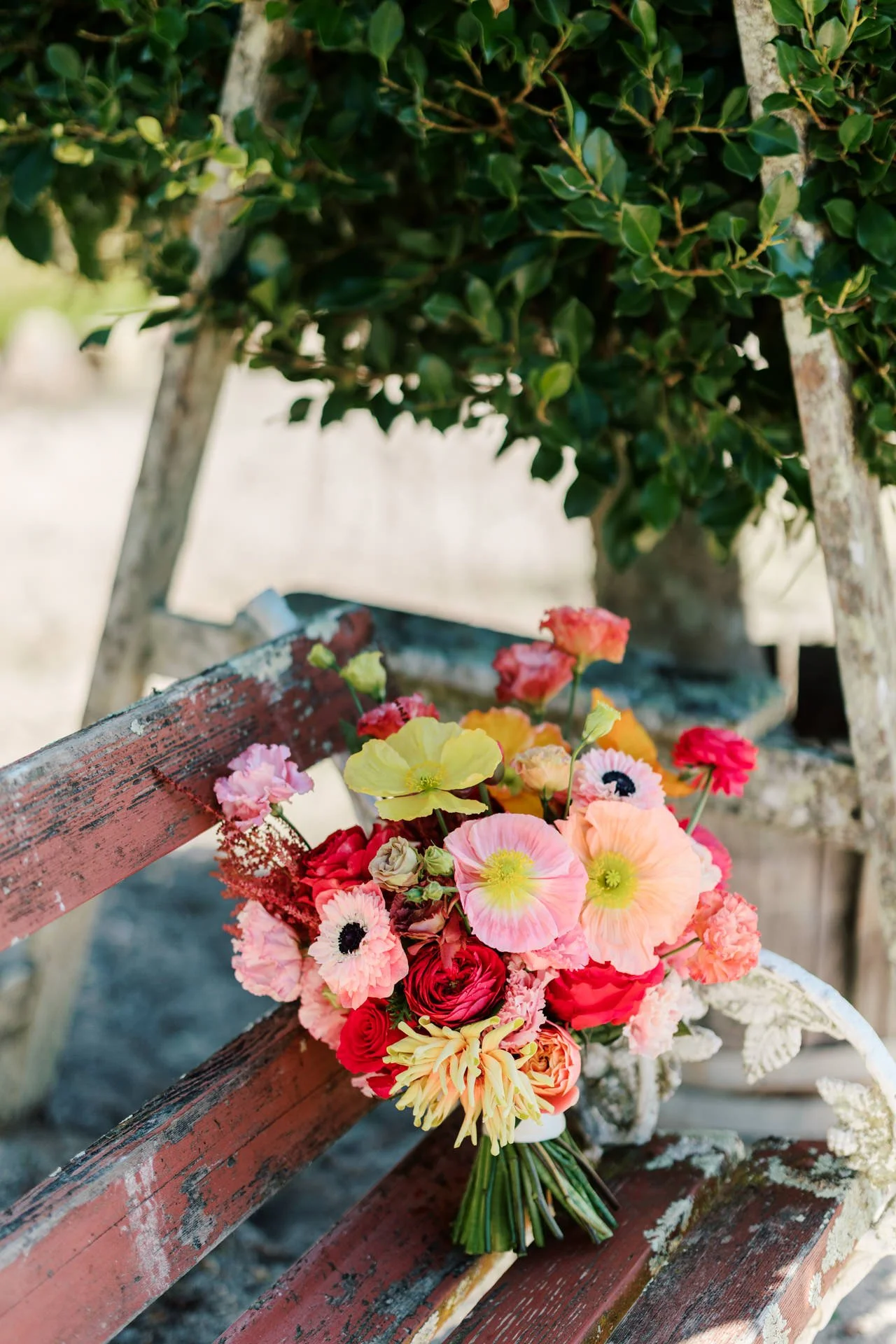Stables-of-Somersby-wedding-photos-100.jpg