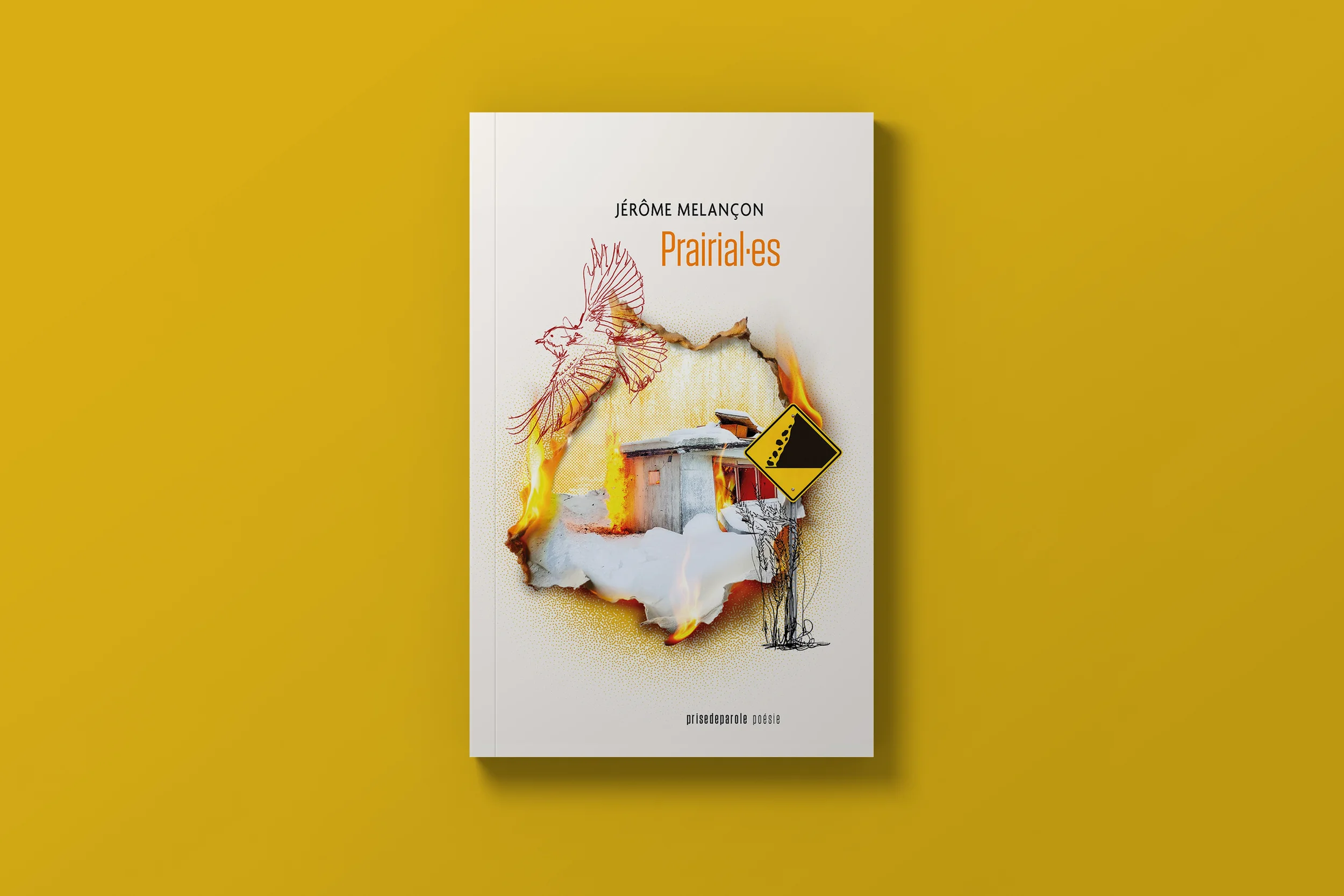 MissPixels-book cover-jerome-melancon-02.webp