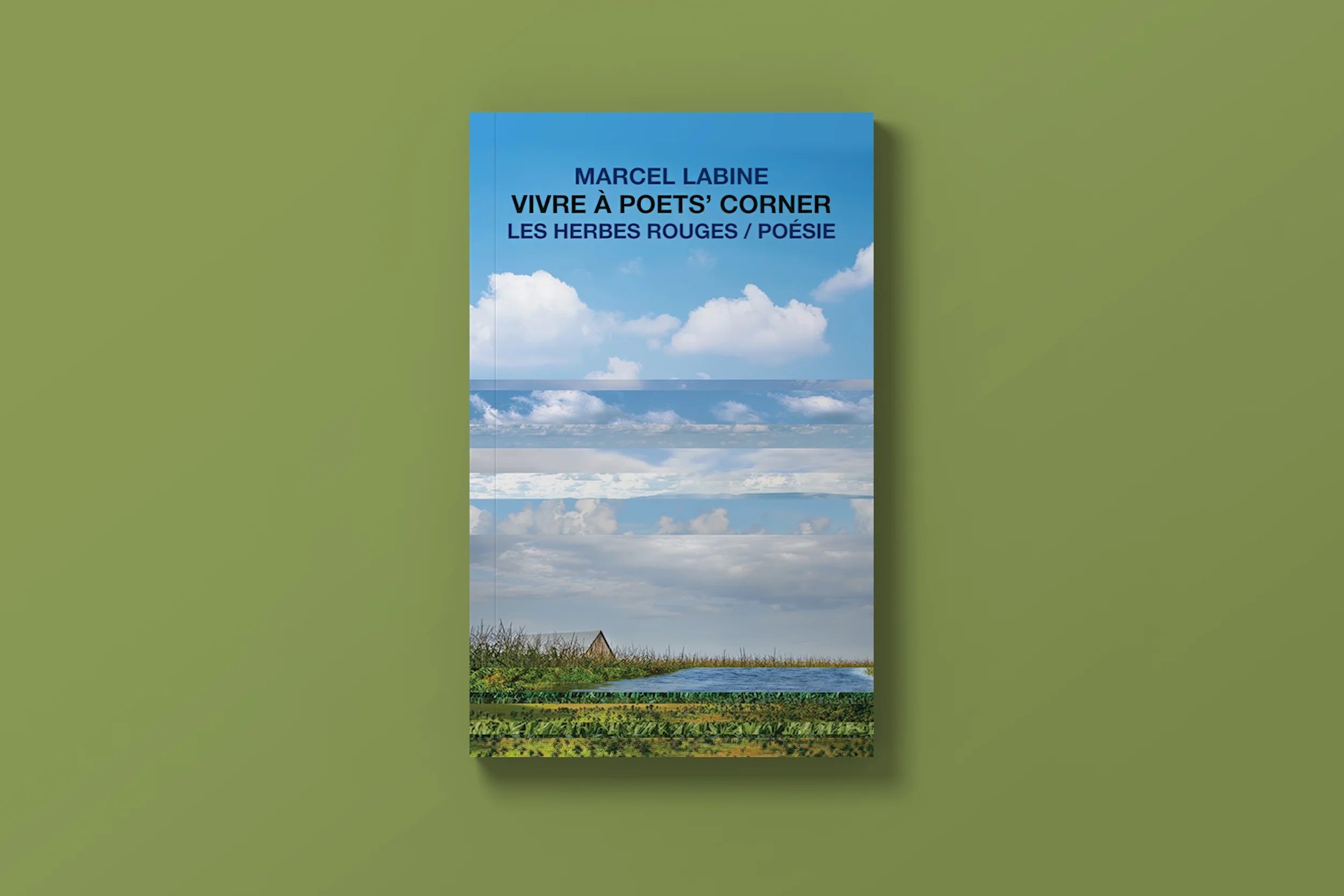 MissPixels-book cover-marcel-labine-01 copy.webp