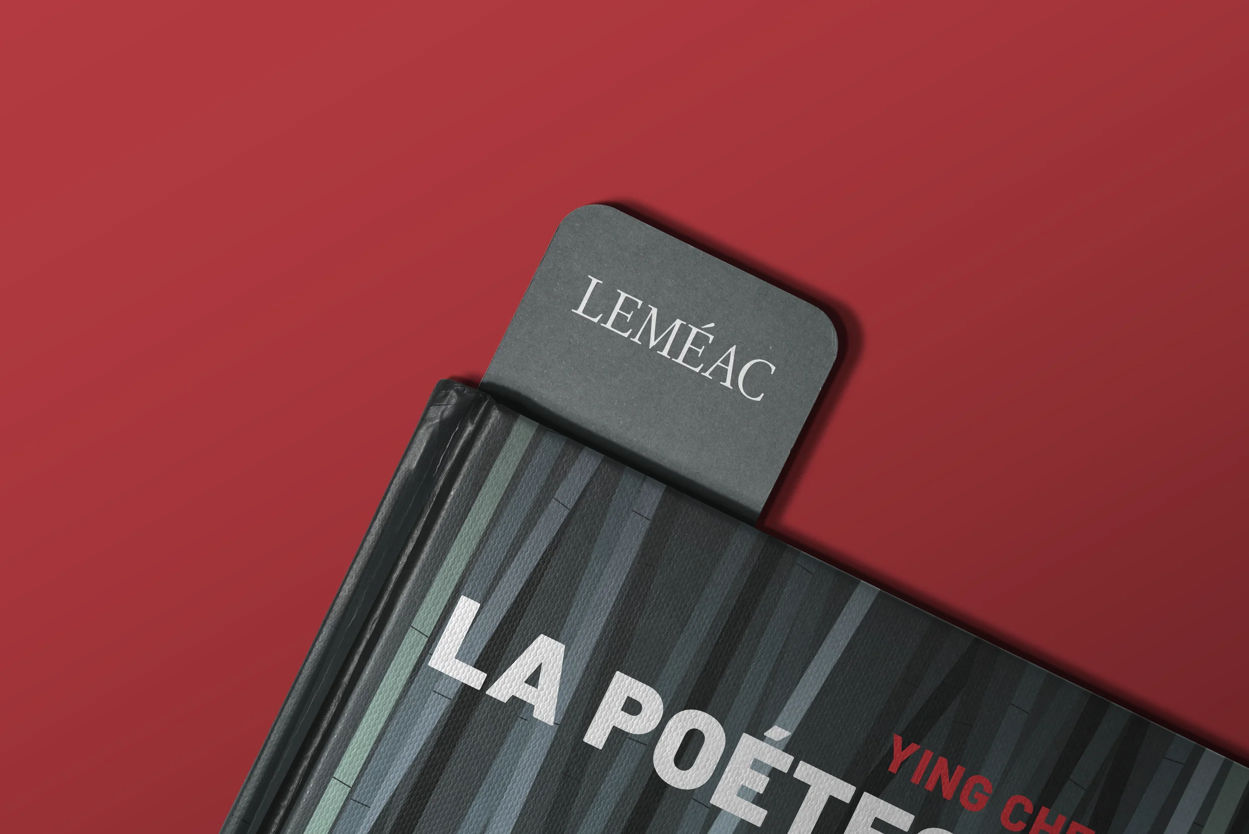 MissPixels-couverure de livre-02 copy.webp