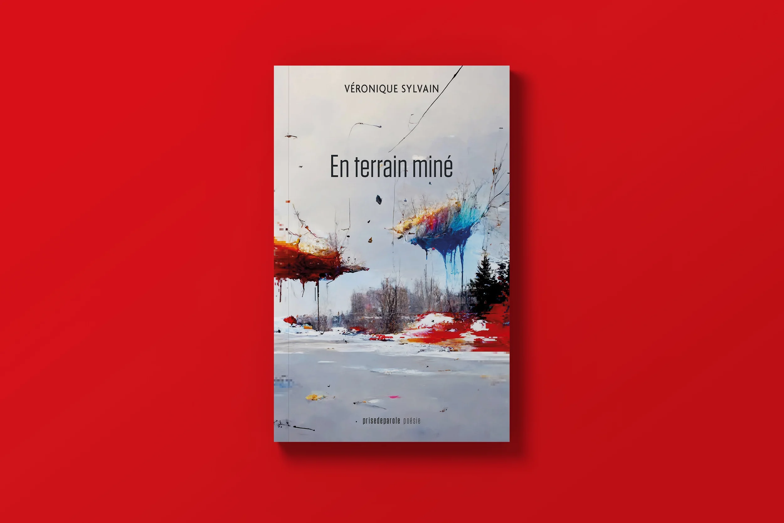 MissPixels-book cover-veronique-sylvain-01.webp