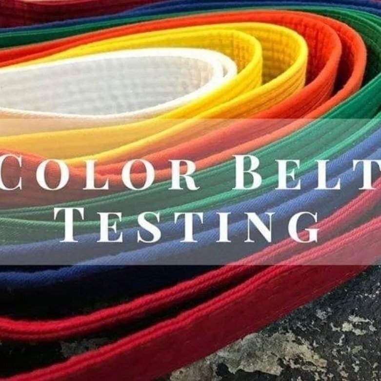 🥋 Attention Baek's Taekwondo Academy Members 🥋

 Colour Belt Test Week Alert! 

Qualified Wednesday Class Students Test at 4pm or 6pm
Qualified Thursday Class Students Test at 5pm

🚨 Please note: There will be NO regular classes on Wednesday and T
