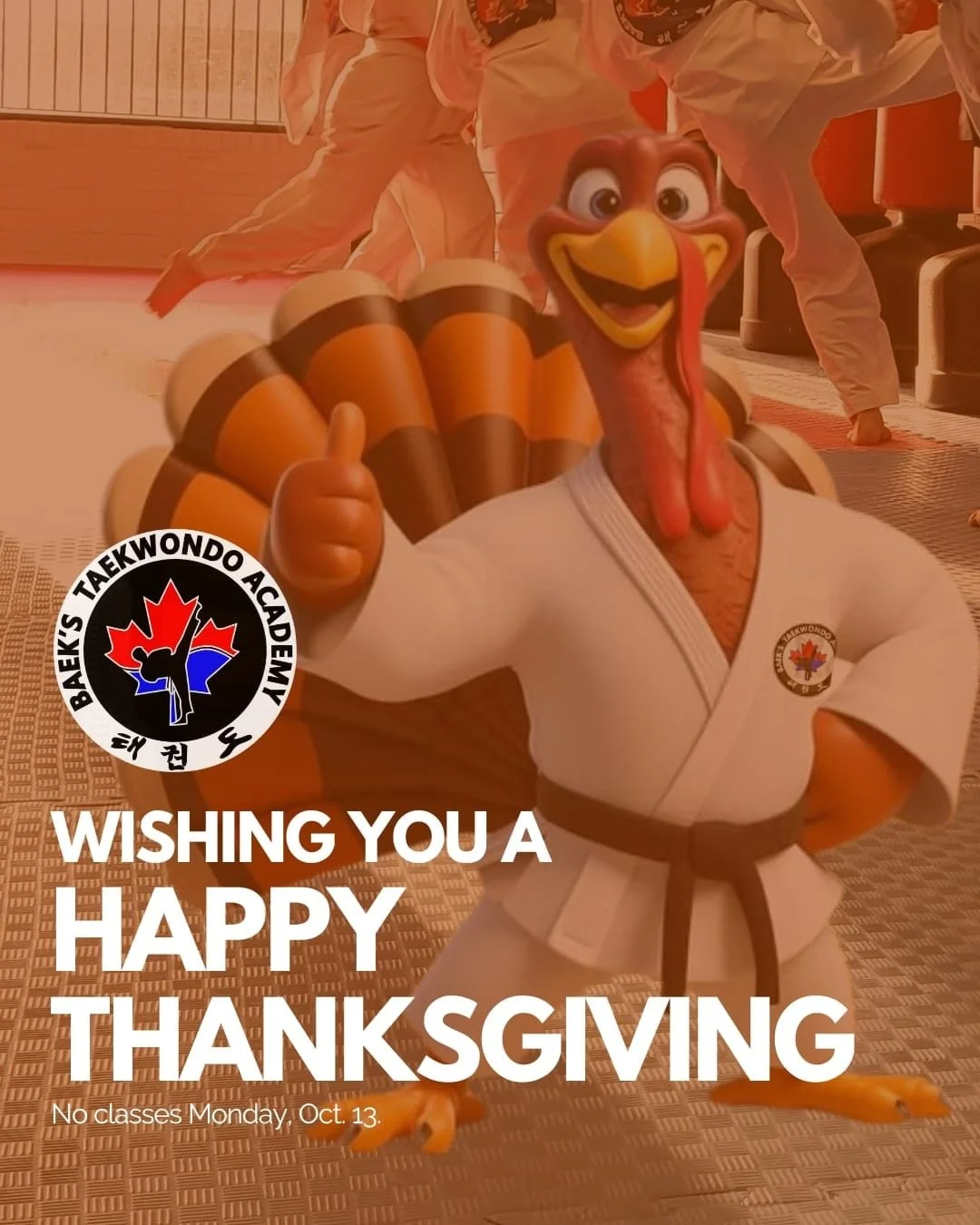 🍁 Happy Thanksgiving from Baek&rsquo;s Taekwondo! 🦃

We hope everyone enjoys a wonderful Thanksgiving weekend filled with family, gratitude, and good food!

Please note: There will be no classes on Monday, October 13th in observance of the holiday.