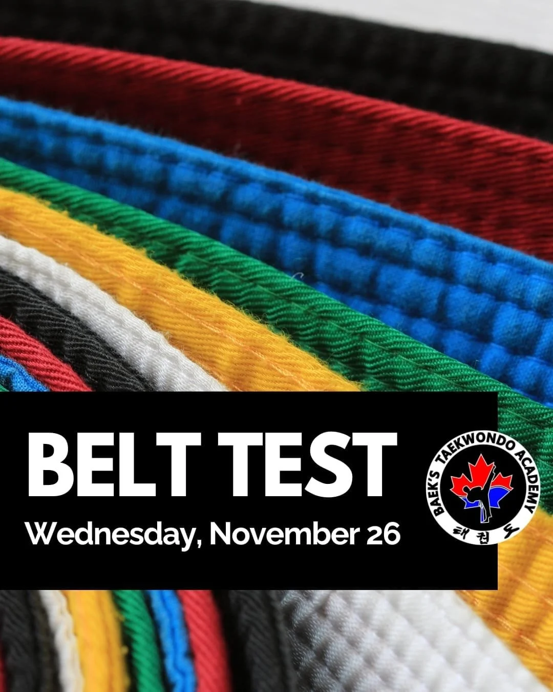 🥋 Colour Belt Promotion Test Today! 🥋

A reminder to all students and families that there are no regular classes today as we hold our Colour Belt Promotion Test.

🕓 Test Times:
&bull; 4:00 PM
&bull; 5:00 PM

Best of luck to all candidates&mdash;sh