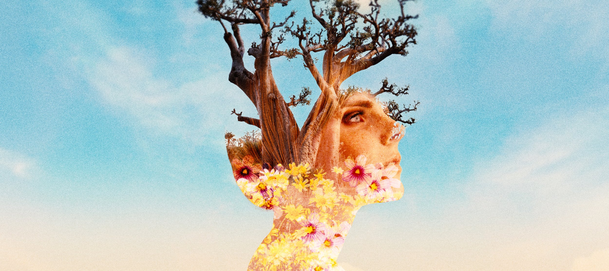 Superbloom with the Song Company