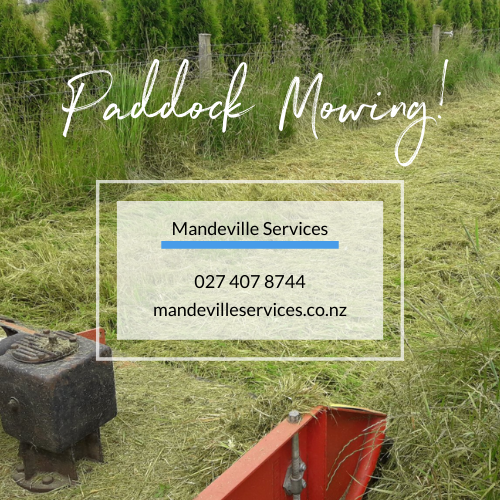 Paddock Mowing Ad.png