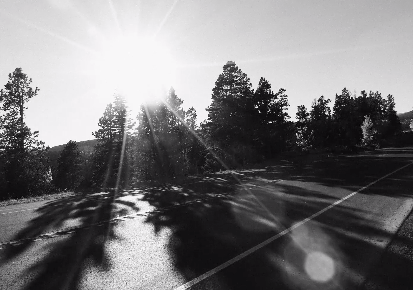 Screen Shot 2019-08-19 at 4.23.43 PM.png