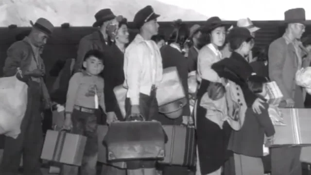 Short ↑ / ↓ Stills