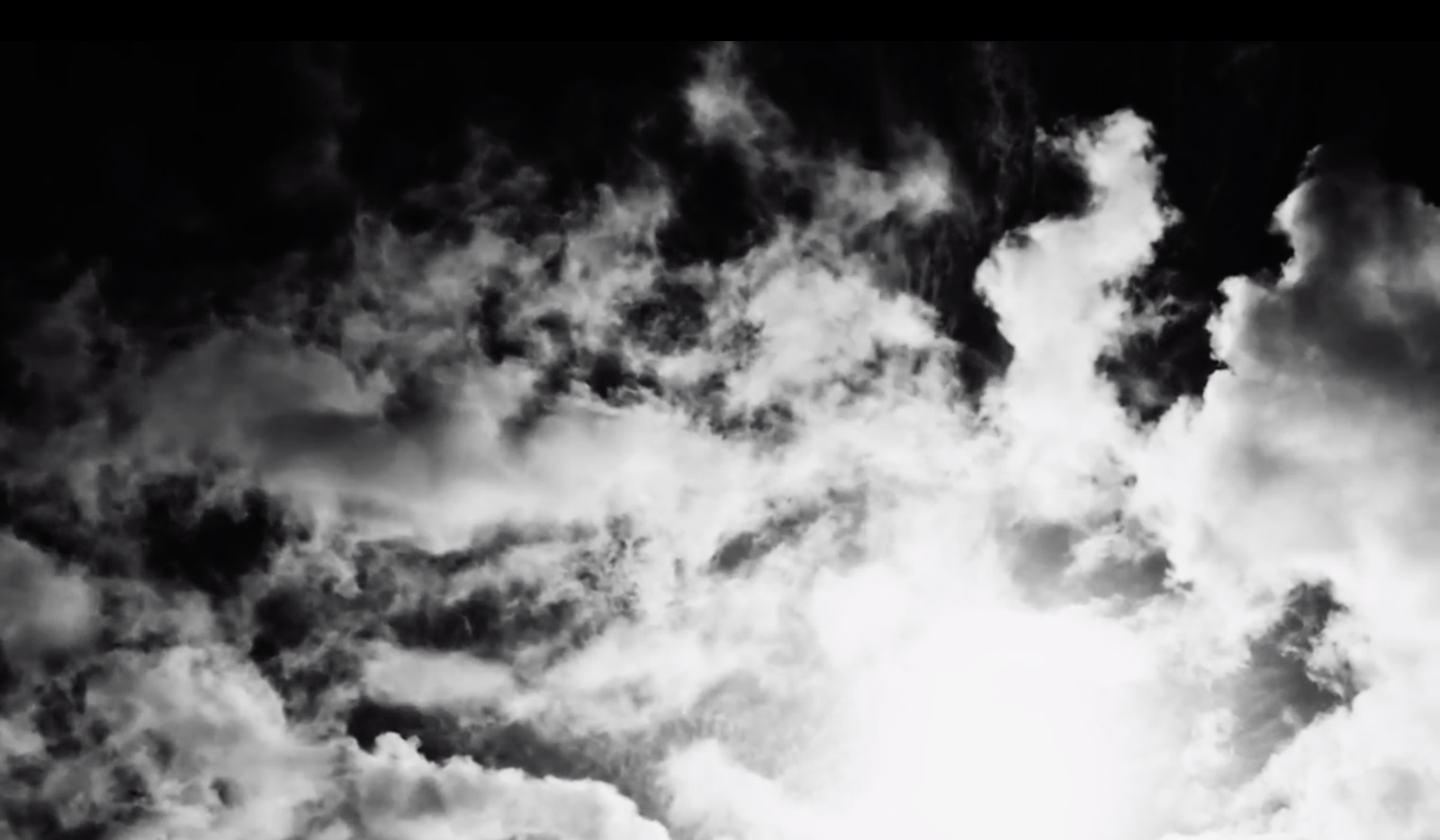 Screen Shot 2019-08-20 at 10.22.06 AM.png