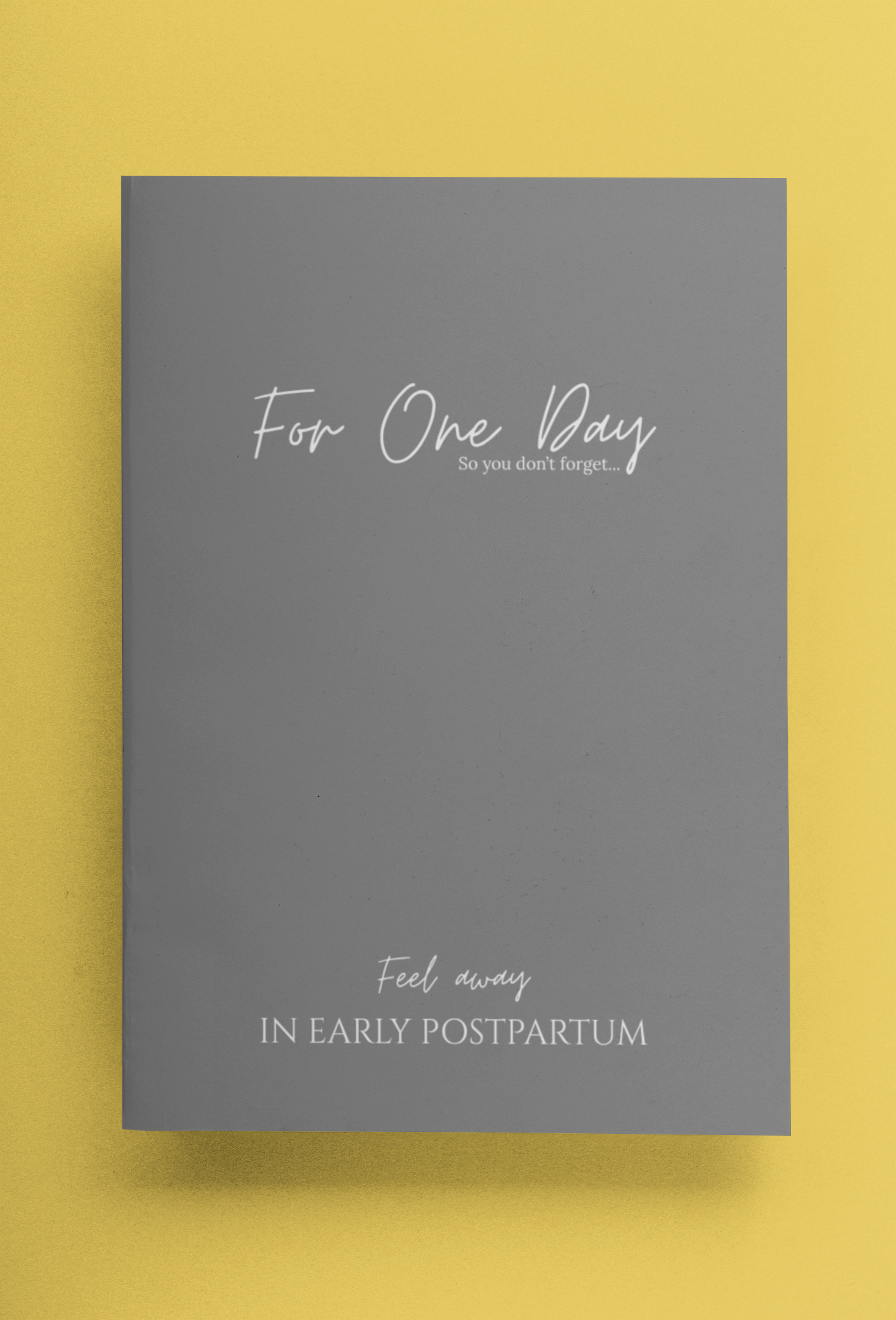 minimalistic-mockup-of-a-paperback-book-on-a-color-surface-33649 (2).png