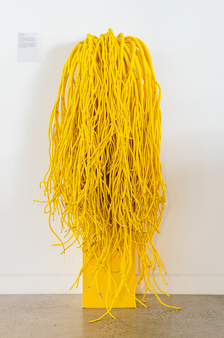 Roots, 2025.png