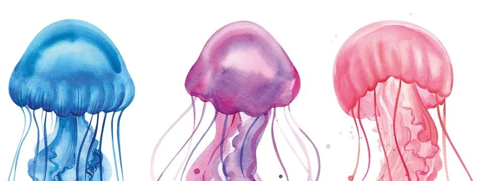 The environmental impact of deep-sea mining