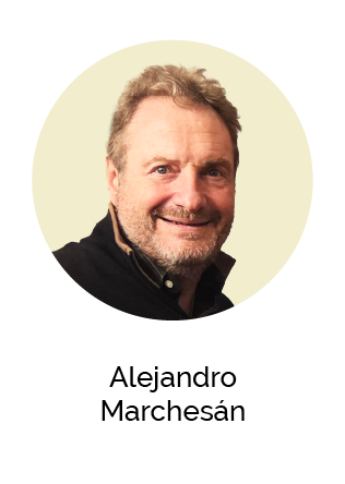 Alejandro Marchesán  - Ebook - Artículos Articulados