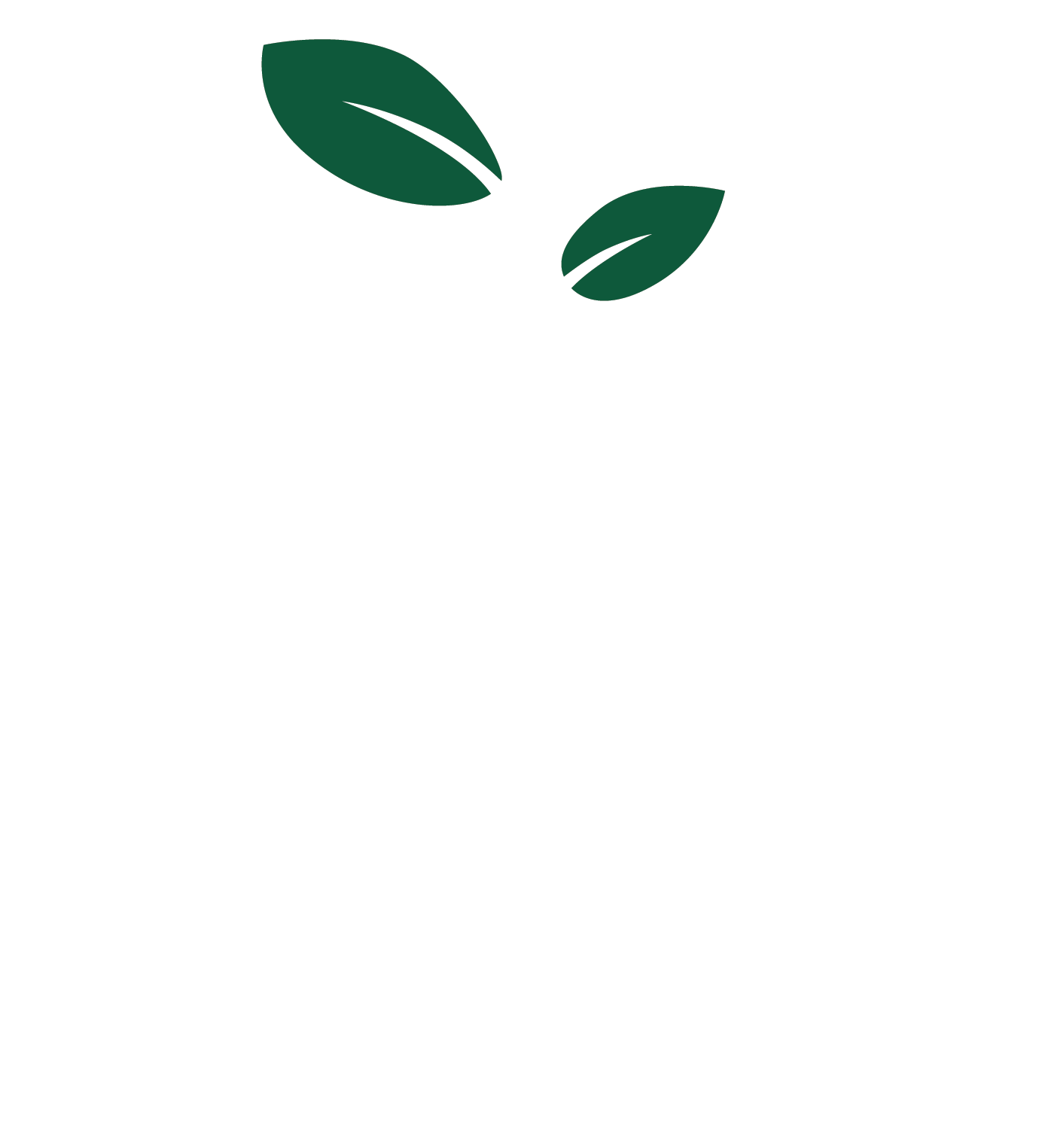 Hands n Heart.png