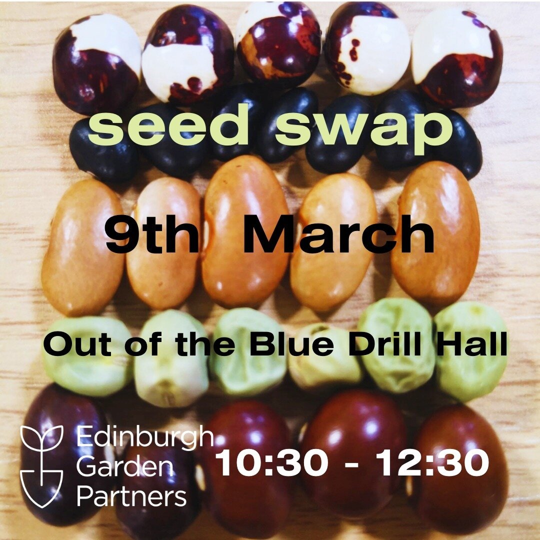 It's nearly time! Come and join us at Out of the Blue Drill Hall on Saturday 9th March, drop in 10:30 - 12:30, bring seeds to swap and share, or even just to pick some up (we have a pretty good stash!). 

It's a great opportunity to come and say hell