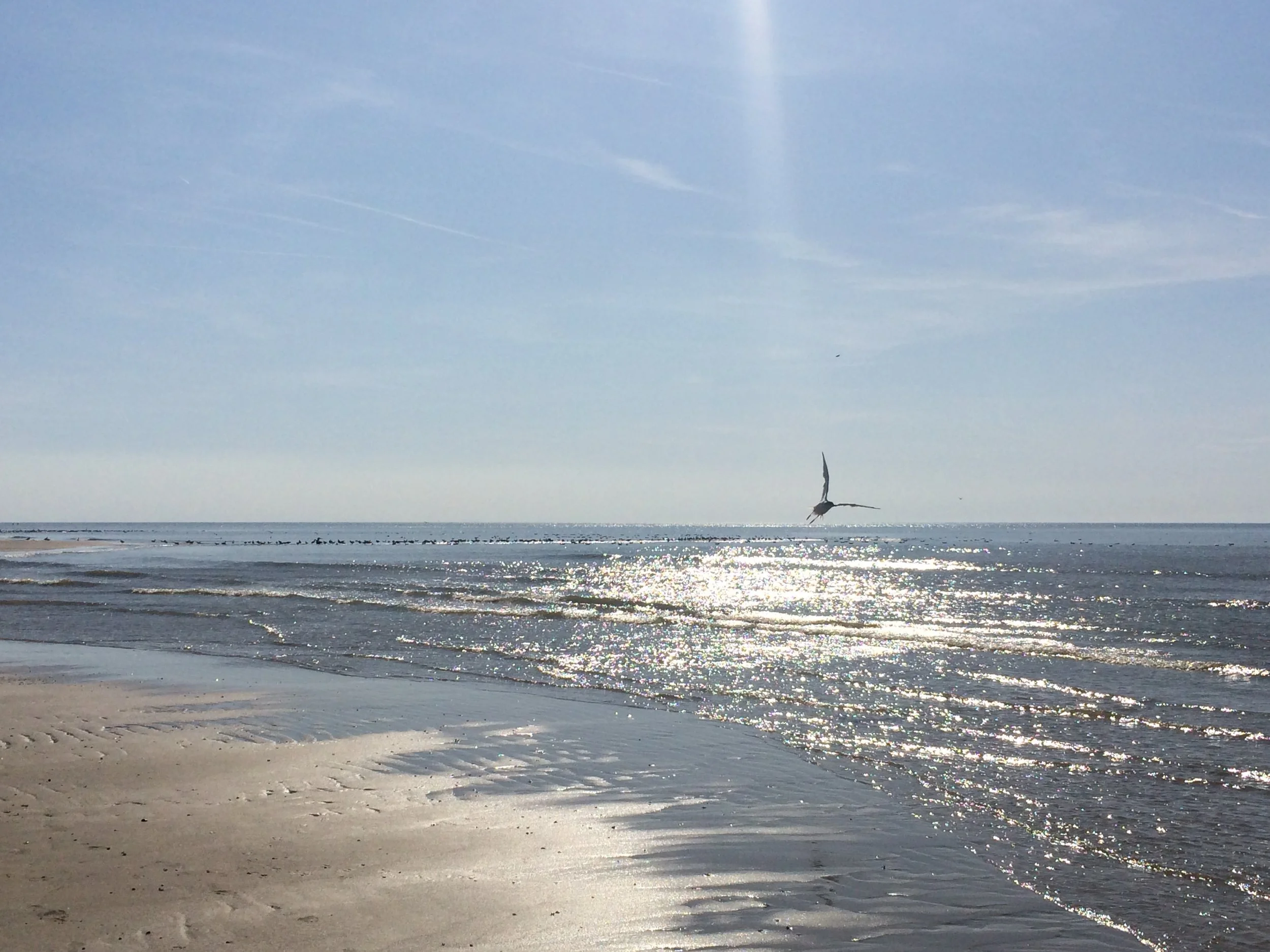 IMG_7468.JPG