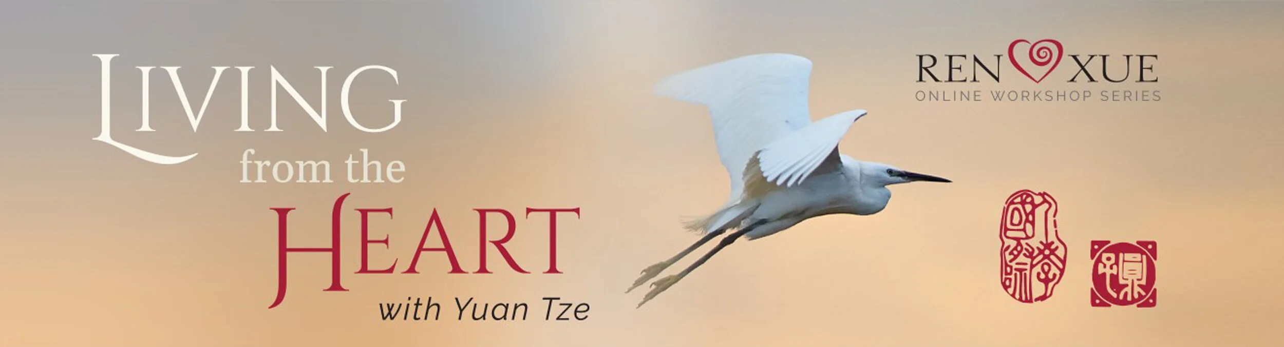 Livving from the heartbanner.jpg