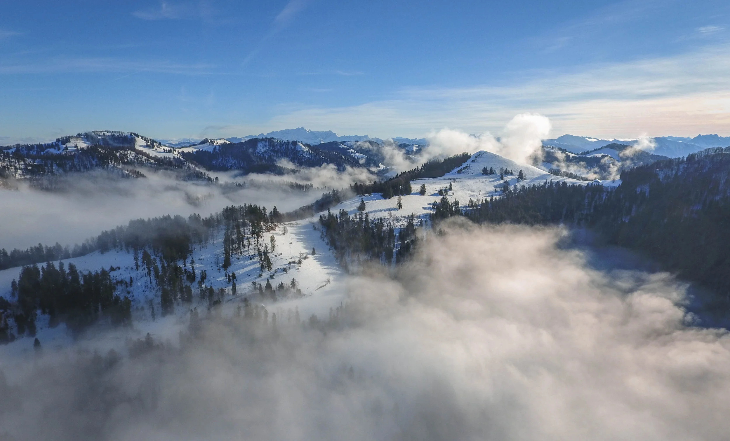 Die nächsten Schritte in der Werkstatt F