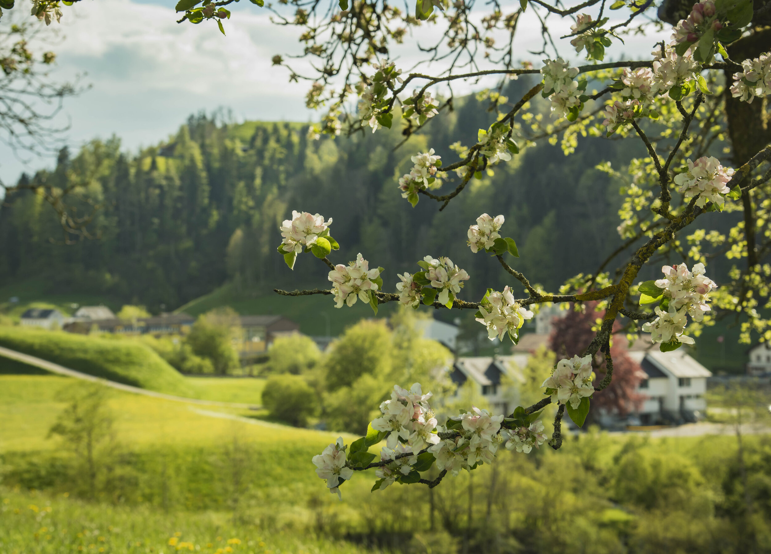 Die Werkstatt F geht weiter – vorerst online!
