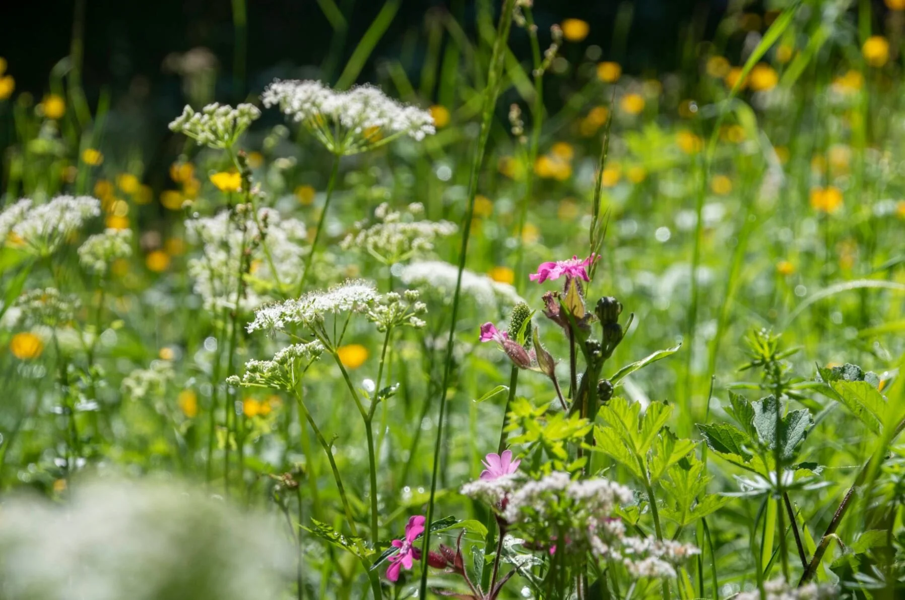 Workshop Projektentwicklung 2