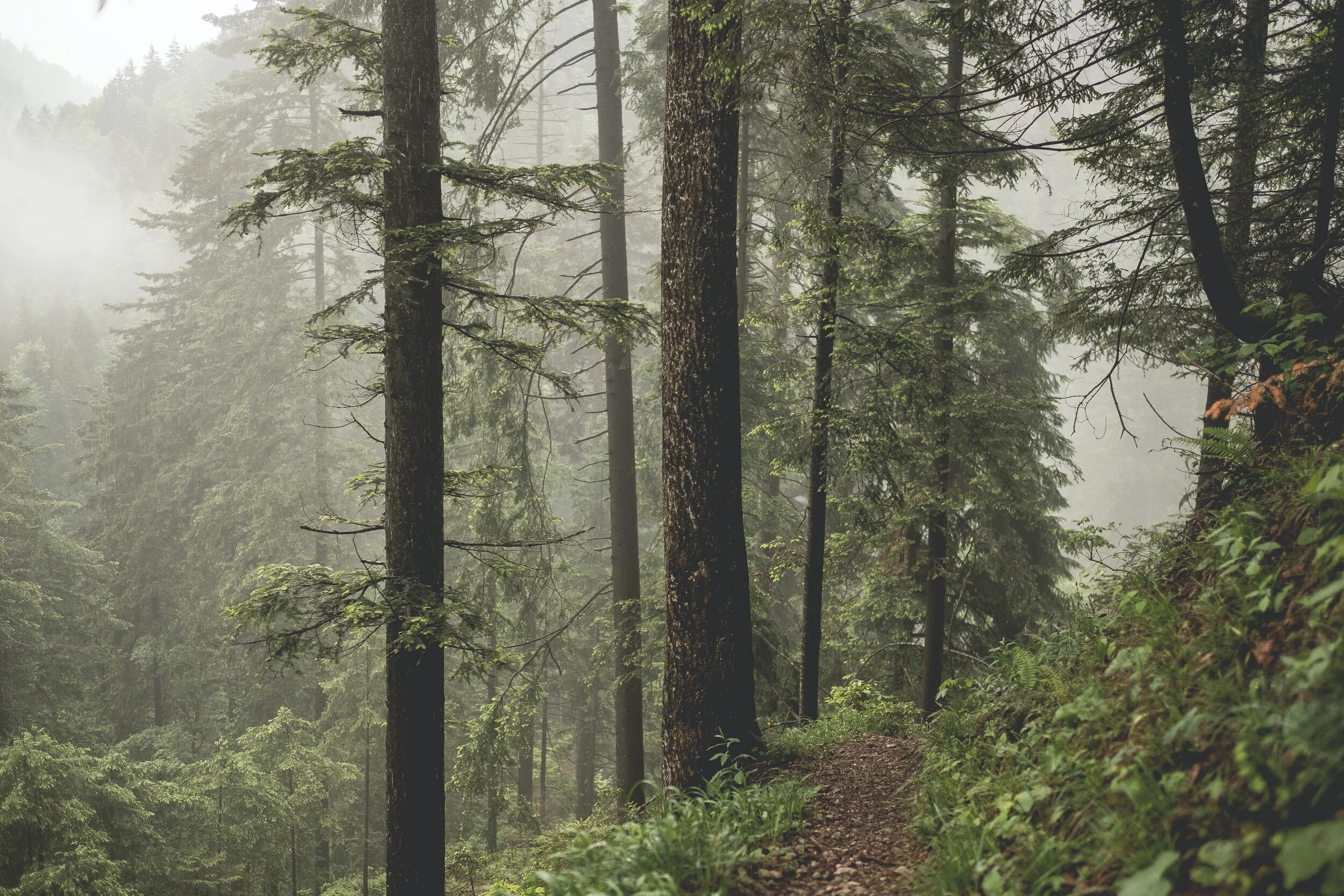 Neuigkeiten in Sachen Termine und Projektideen!