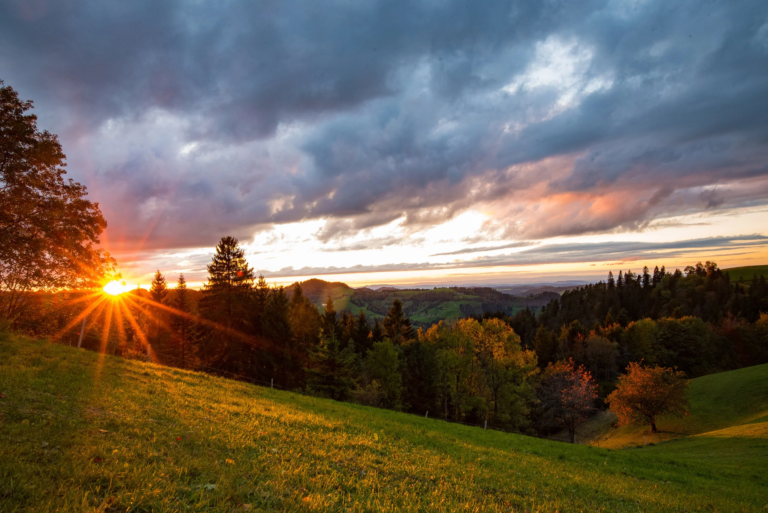 Es geht los - Projekte werden umgesetzt! 