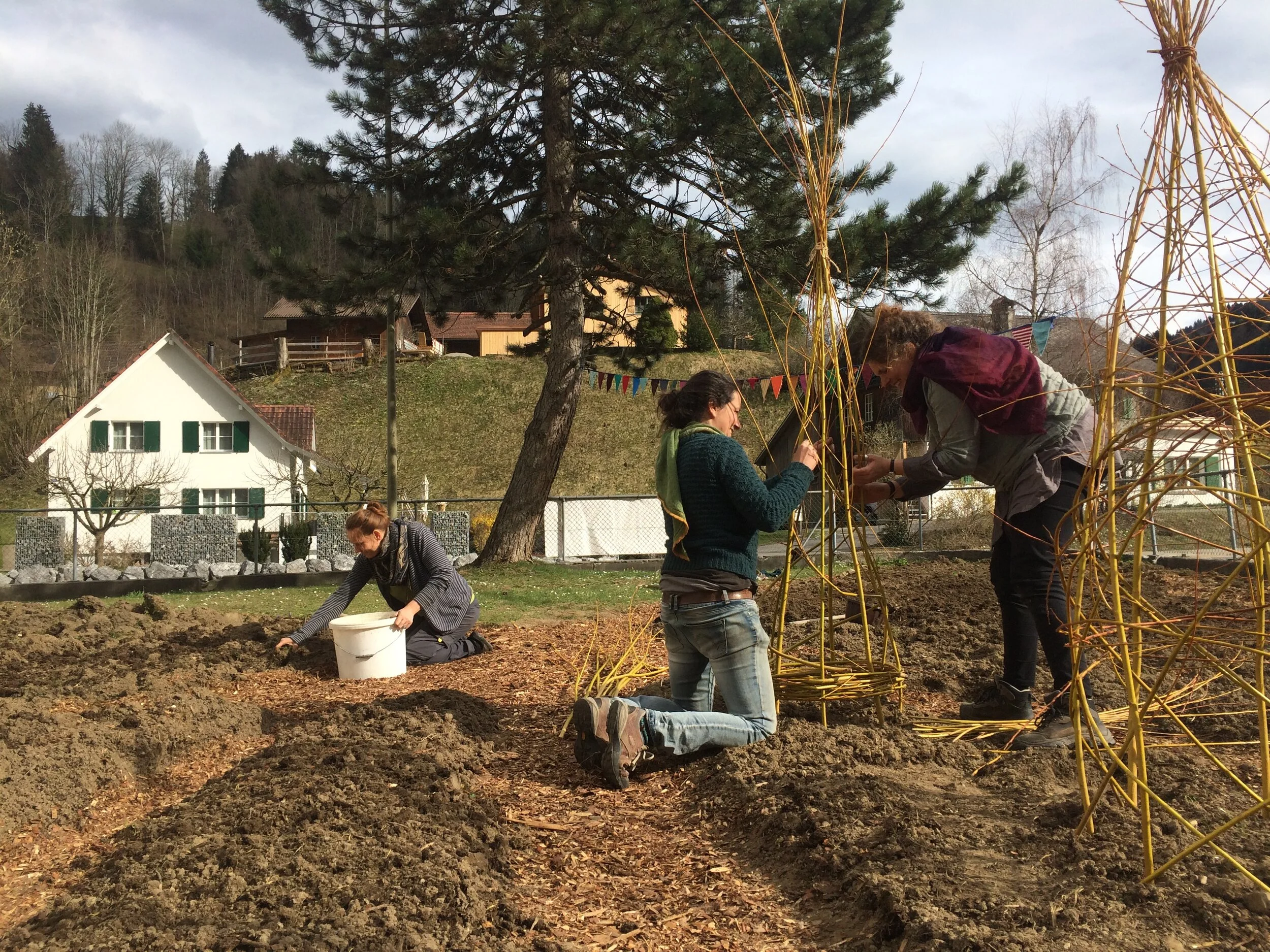 Setzlingstausch und Gartenöffnung