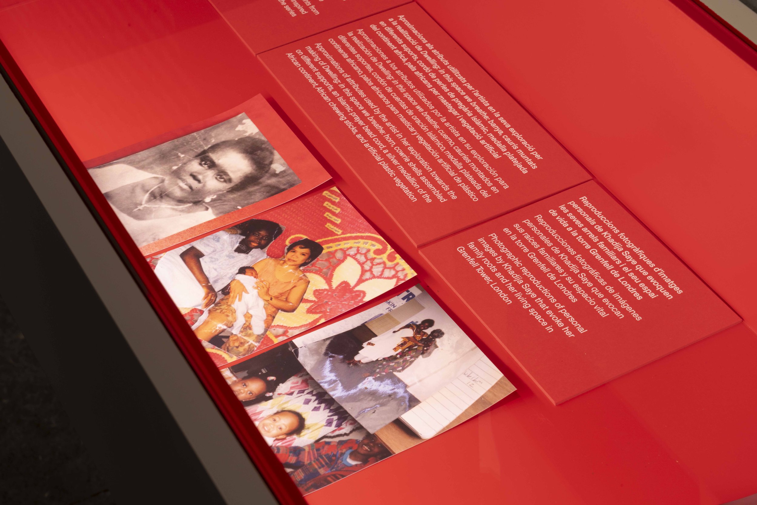 Photo: Jordi Puig. Courtesy of Institut de Cultura de Barcelona (ICUB). Licensed under CC BY.