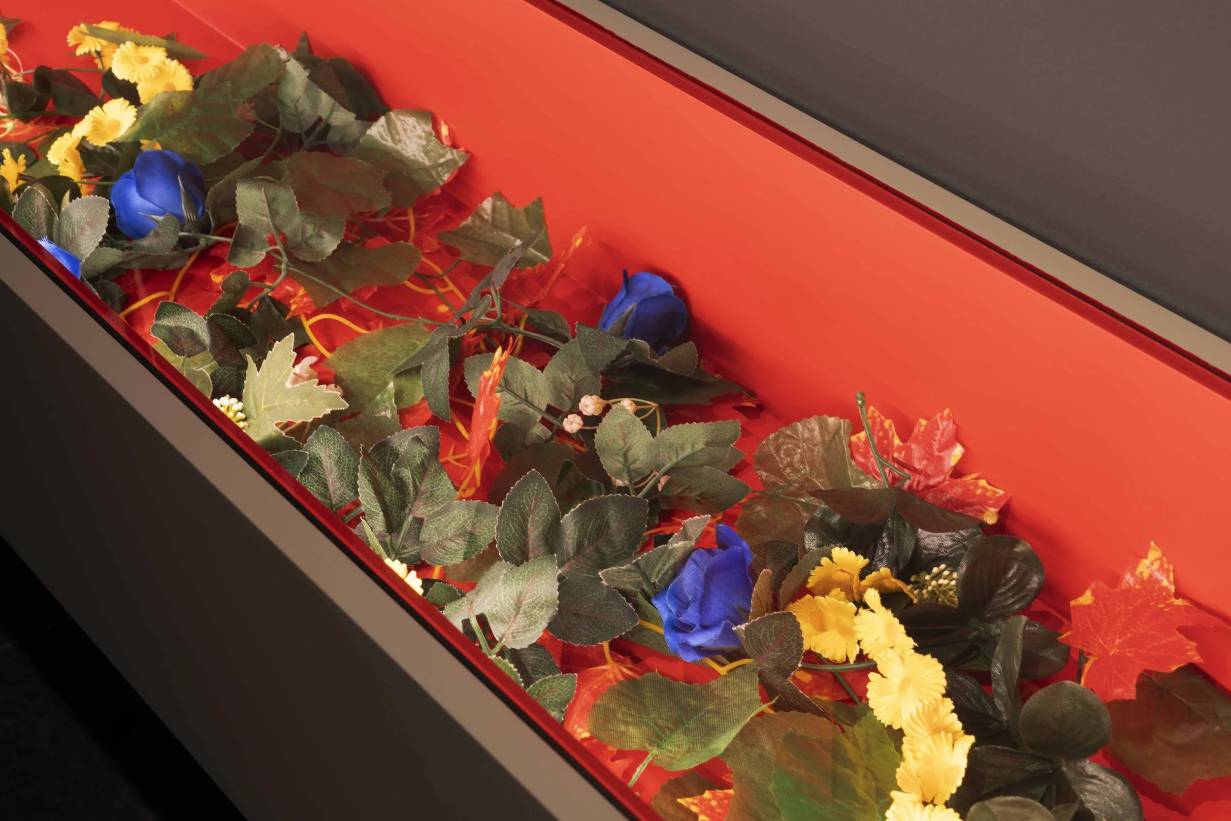 Photo: Jordi Puig. Courtesy of Institut de Cultura de Barcelona (ICUB). Licensed under CC BY.