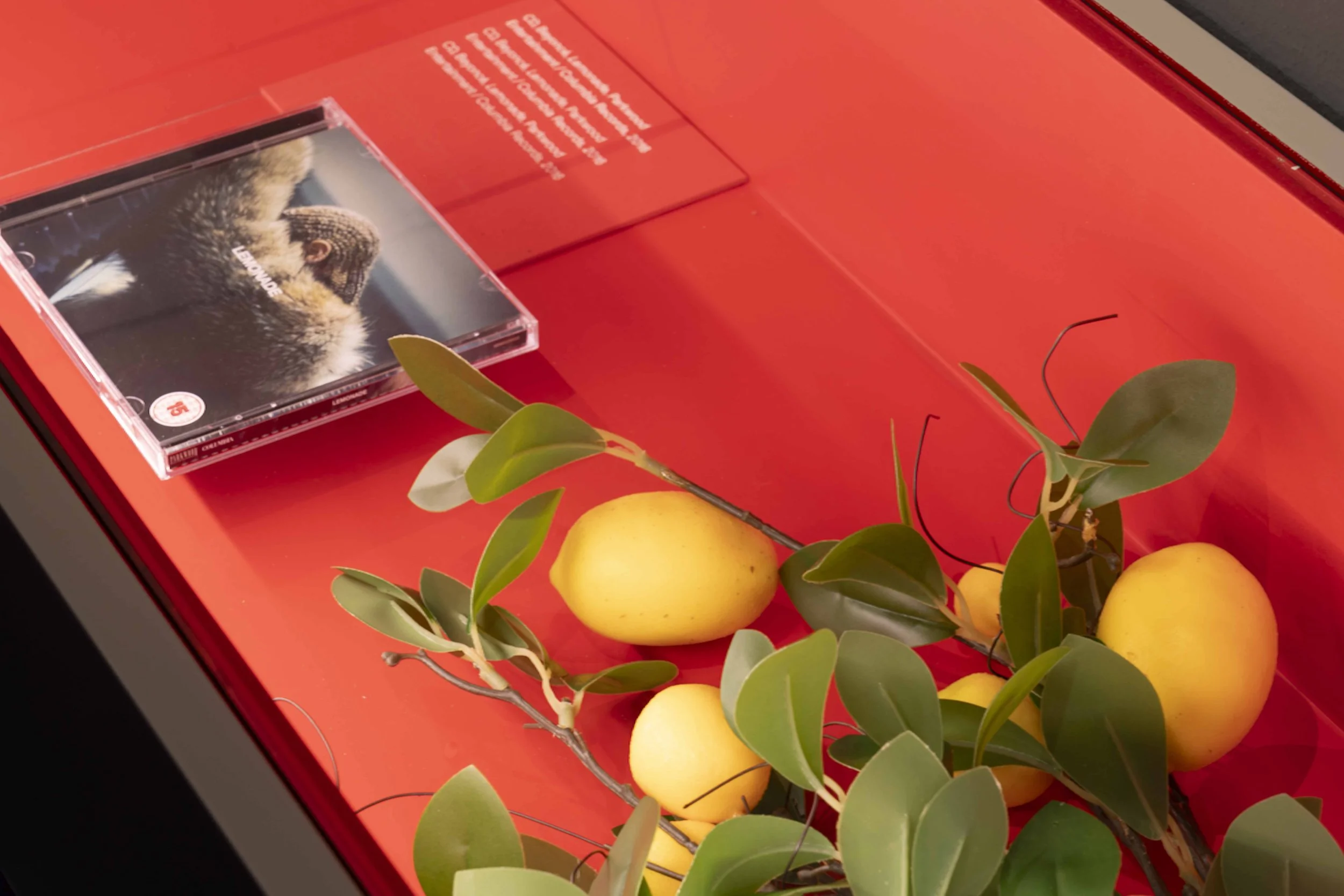 Photo: Jordi Puig. Courtesy of Institut de Cultura de Barcelona (ICUB). Licensed under CC BY.